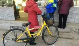 桂林单车爆料最新消息新闻,悲剧发生，原因调查中